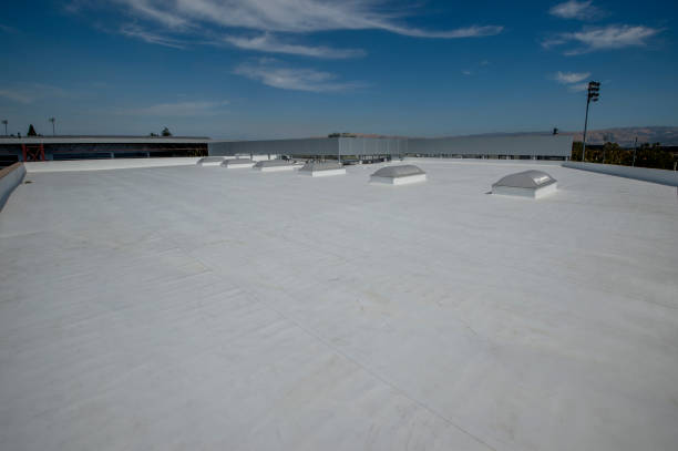 Best Commercial Roofing Services  in River Grove, IL